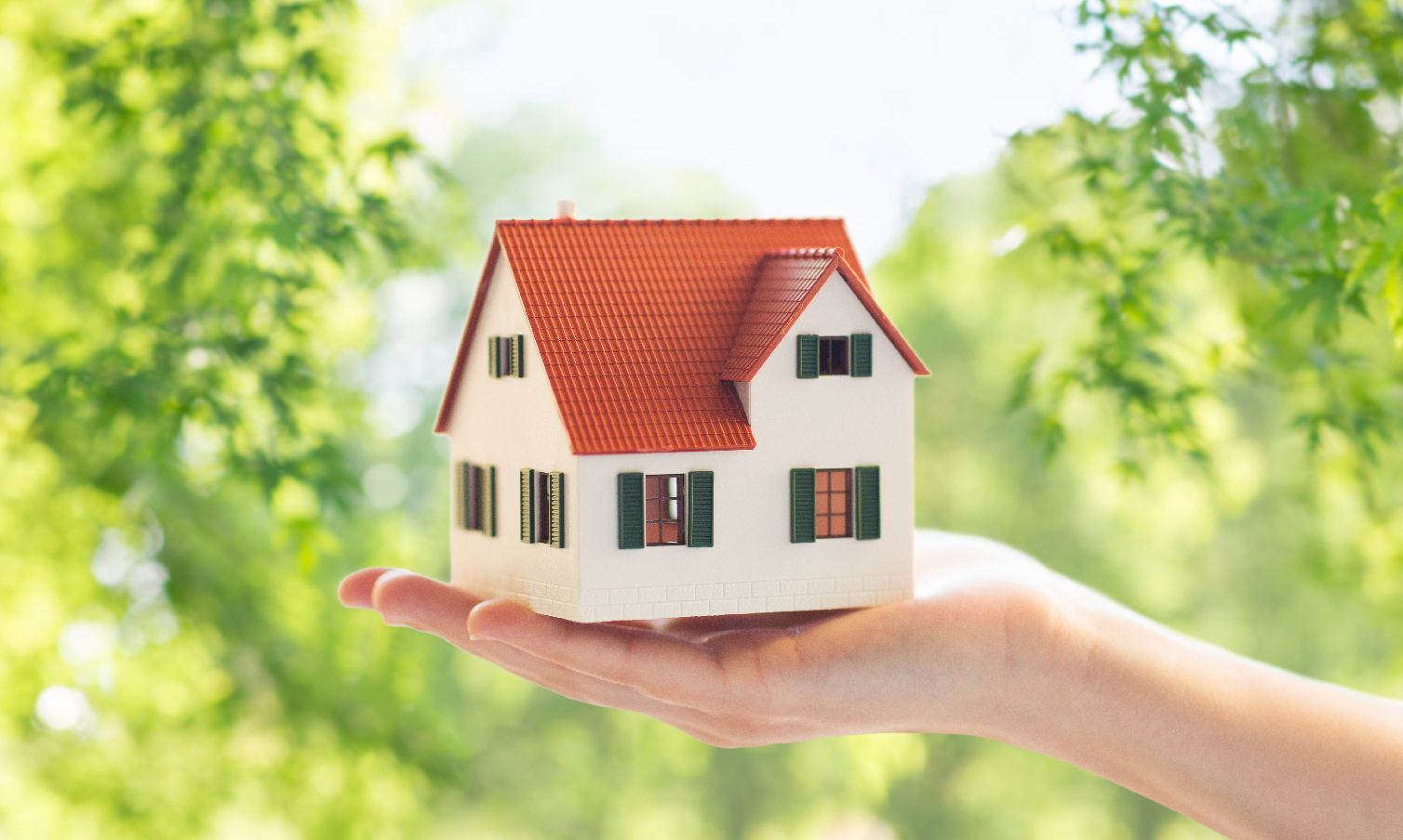 Sustainability Overview Page X 1 02